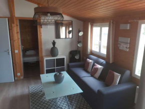 Chalet climatisé avec piscine chauffée et parking dans une pinède calme - FR-1-607-64